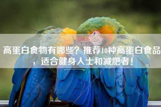 高蛋白食物有哪些？推荐10种高蛋白食品，适合健身人士和减肥者！