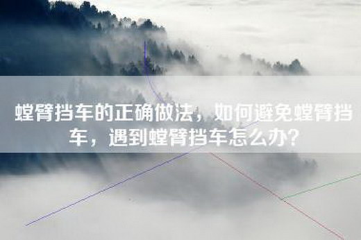 螳臂挡车的正确做法，如何避免螳臂挡车，遇到螳臂挡车怎么办？