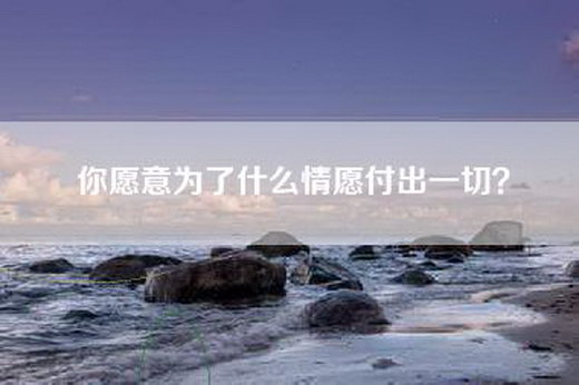 你愿意为了什么情愿付出一切？