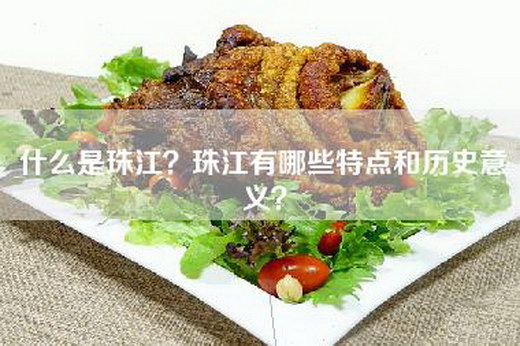 什么是珠江？珠江有哪些特点和历史意义？