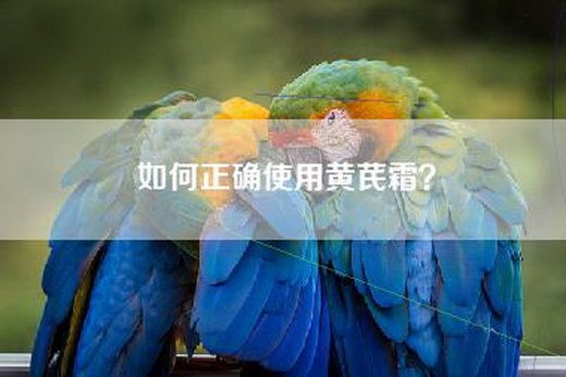 如何正确使用黄芪霜？