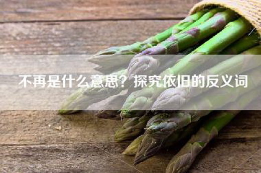 不再是什么意思？探究依旧的反义词
