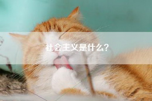 社会主义是什么？