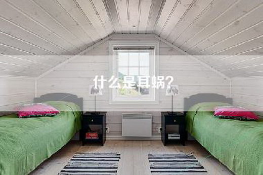 什么是耳蜗？