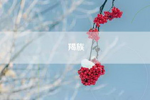 羯族