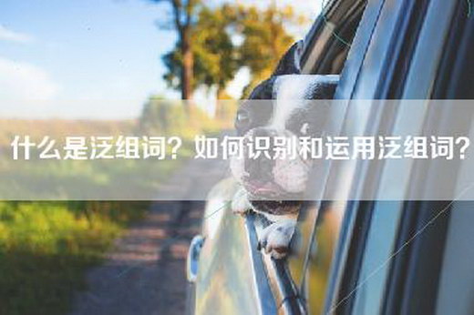 什么是泛组词？如何识别和运用泛组词？