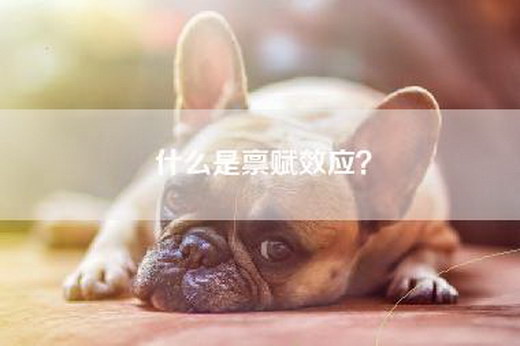 什么是禀赋效应？