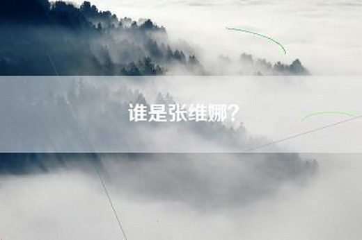 谁是张维娜？