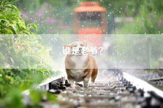 谁是老爷？