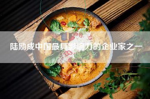 陆励成中国最具影响力的企业家之一