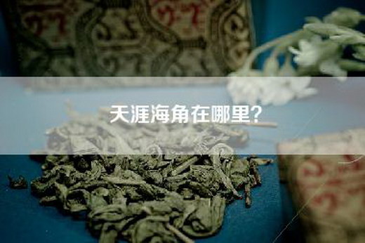 天涯海角在哪里？