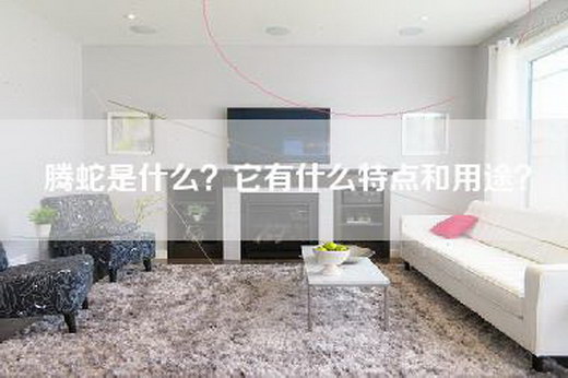 腾蛇是什么？它有什么特点和用途？