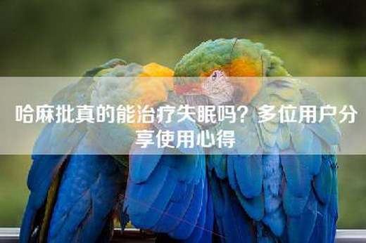 哈麻批真的能治疗失眠吗？多位用户分享使用心得