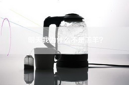 明天我为什么不是羔羊？