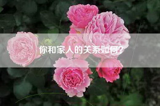 你和家人的关系如何？