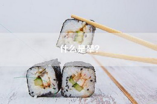 什么是辇？