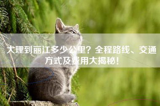 大理到丽江多少公里？全程路线、交通方式及费用大揭秘！