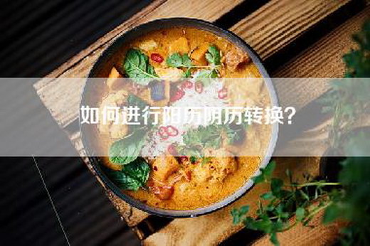 如何进行阳历阴历转换？