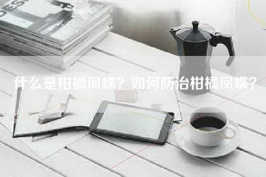 什么是柑橘凤蝶？如何防治柑橘凤蝶？