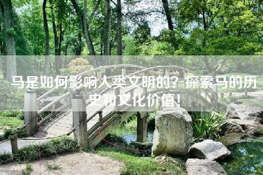 马是如何影响人类文明的？探索马的历史和文化价值！