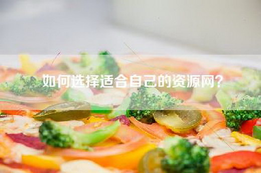 如何选择适合自己的资源网？
