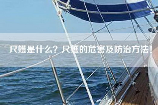尺蠖是什么？尺蠖的危害及防治方法！