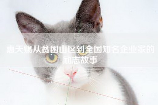 惠天赐从贫困山区到全国知名企业家的励志故事