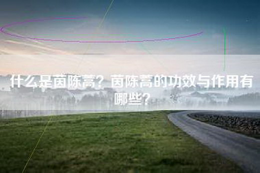 什么是茵陈蒿？茵陈蒿的功效与作用有哪些？