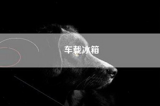 车载冰箱