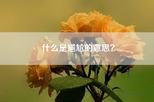 什么是尴尬的意思？
