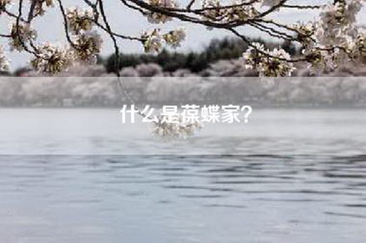 什么是葆蝶家？