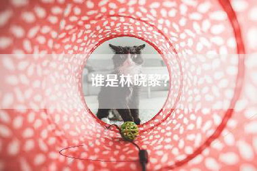 谁是林晓黎？