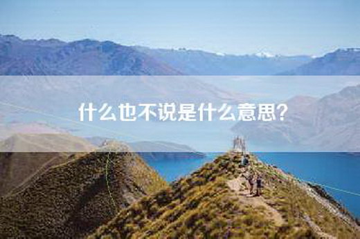 什么也不说是什么意思？