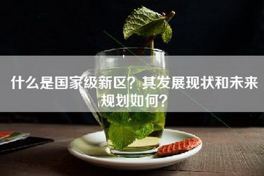 什么是国家级新区？其发展现状和未来规划如何？