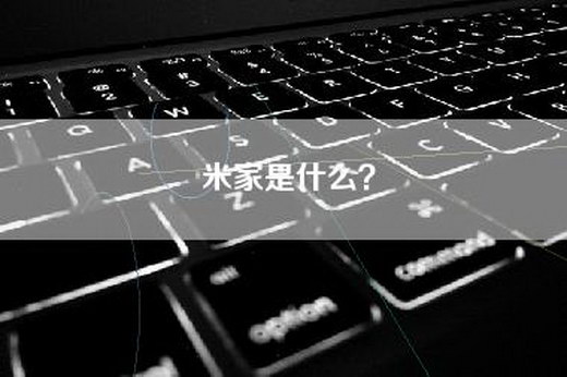 米家是什么？