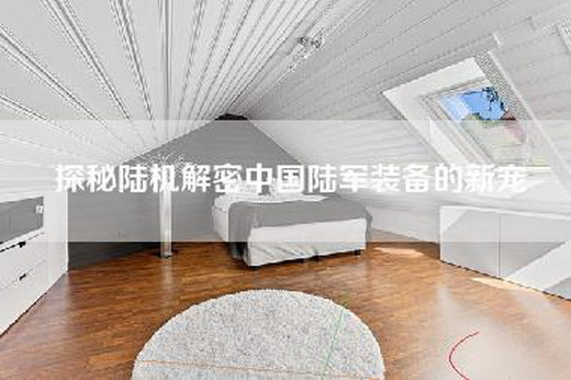 探秘陆机解密中国陆军装备的新宠