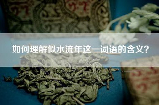 如何理解似水流年这一词语的含义？