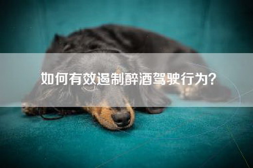 如何有效遏制醉酒驾驶行为？
