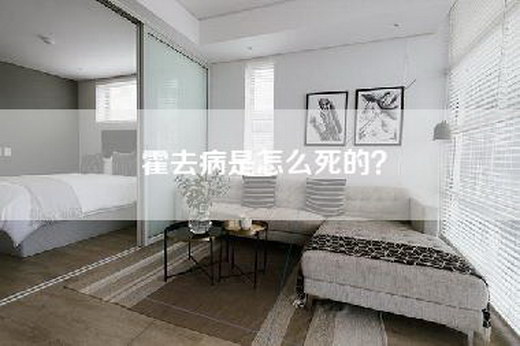 霍去病是怎么死的？