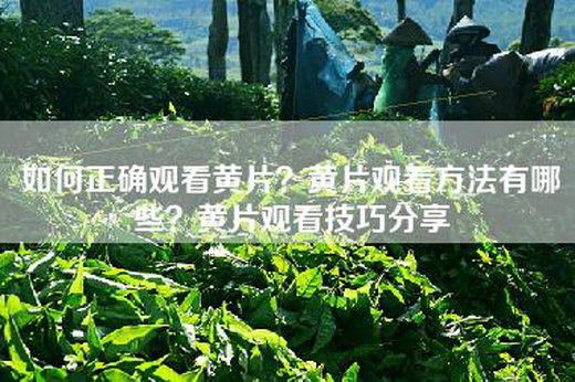 如何正确观看黄片？黄片观看方法有哪些？黄片观看技巧分享