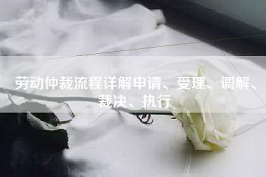 劳动仲裁流程详解申请、受理、调解、裁决、执行