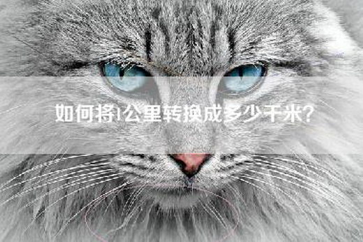 如何将1公里转换成多少千米？