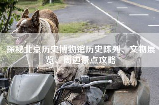 探秘北京历史博物馆历史陈列、文物展览、周边景点攻略