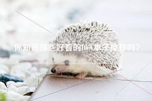 你知道哪些好看的DVA本子推荐吗？