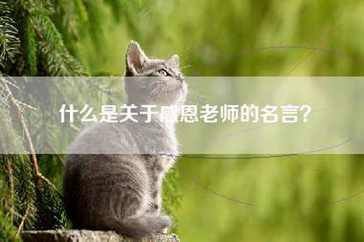 什么是关于感恩老师的名言？