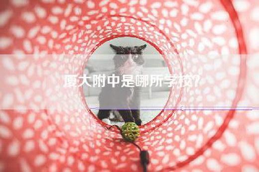 厦大附中是哪所学校？