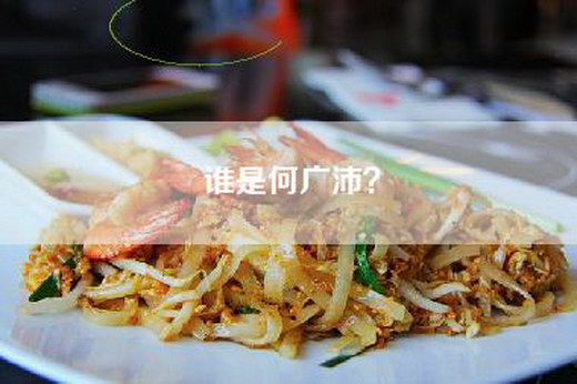 谁是何广沛？