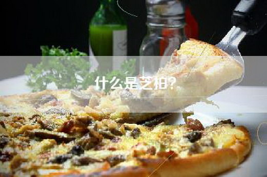 什么是芝柏？