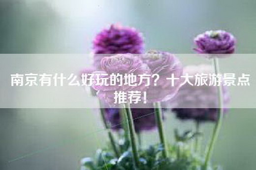 南京有什么好玩的地方？十大旅游景点推荐！