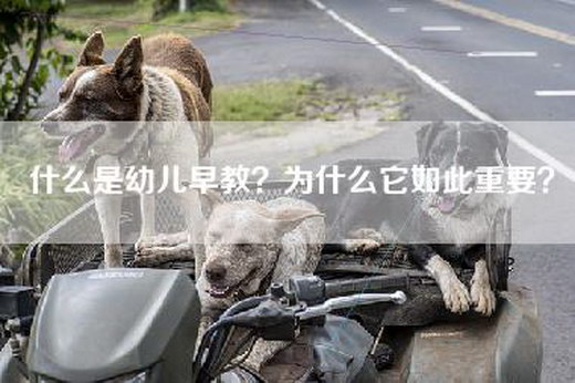 什么是幼儿早教？为什么它如此重要？